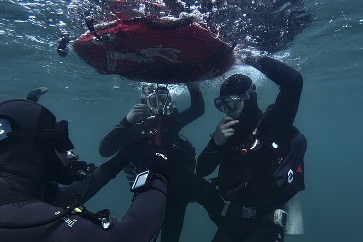 Entdecken Sie das Scuba Diving im Bay Submerged Park — Foto 2