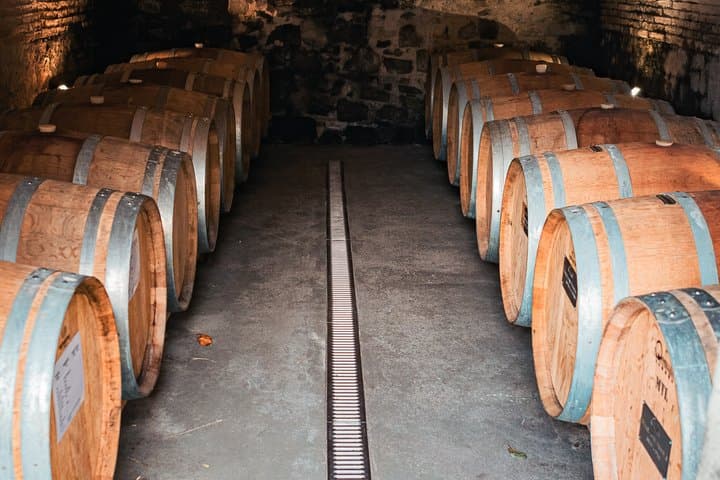 Private Chianti-Weintour — Foto 2