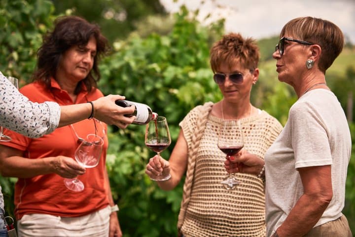 Private Chianti-Weintour