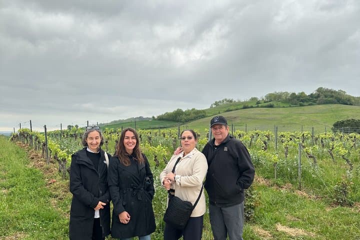Excursión de un día a Albi, Cordes y Gaillac desde Toulouse — foto 2