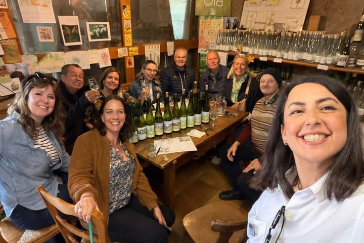 Weinroute Elsass: Kleine Gruppenführung mit Weinverkostung ab Straßburg — Foto 5