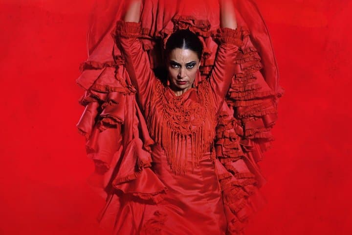 Flamenco Show at Teatro Flamenco Sevilla