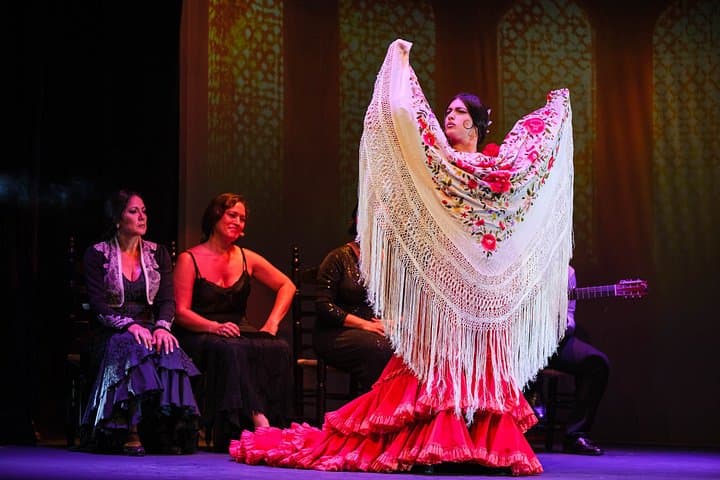 Spectacle de Flamenco au Teatro Flamenco Granada — photo 2