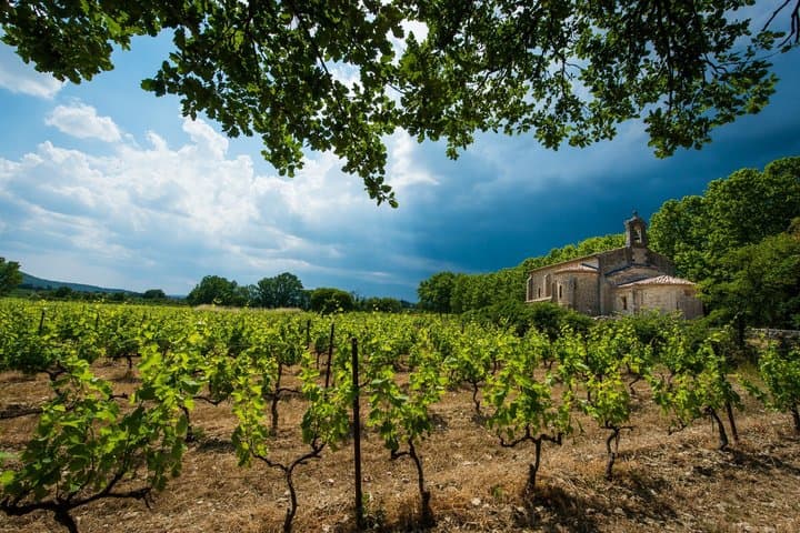 Visite des Vins de Gaillac - Demi-journée au départ de Toulouse — photo 5