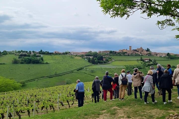 Visite des Vins du Beaujolais Pierres Dorées