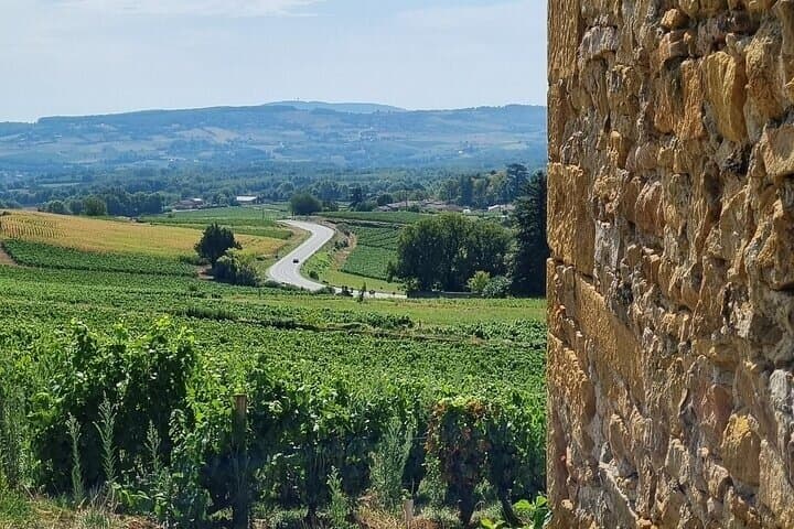 Visite des Vins du Beaujolais Pierres Dorées — photo 3
