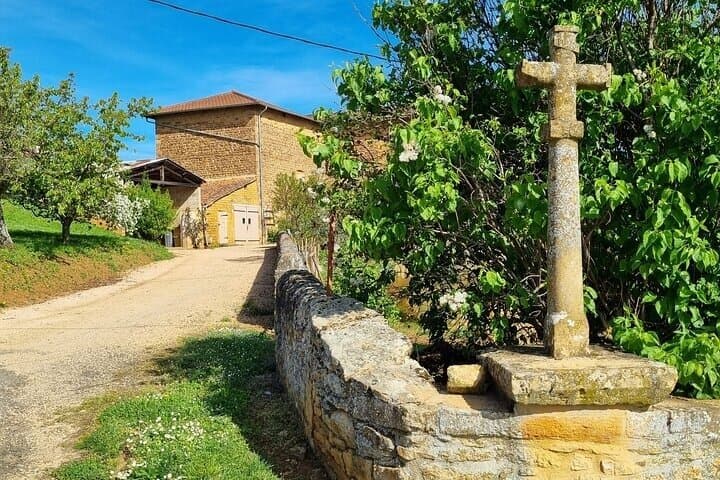 Visite des Vins du Beaujolais Pierres Dorées — photo 5