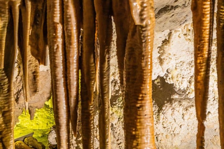 Biglietto d'ingresso per le Grotte di Genova a Palma di Maiorca — foto 2