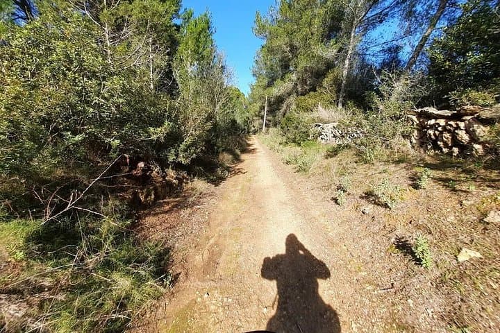Scopri il fascino di St. Gertrudis in E-Bike