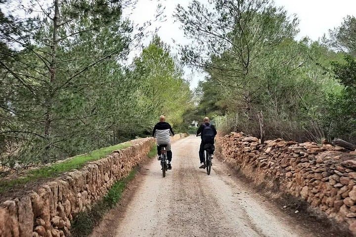Scopri il fascino di St. Gertrudis in E-Bike — foto 4