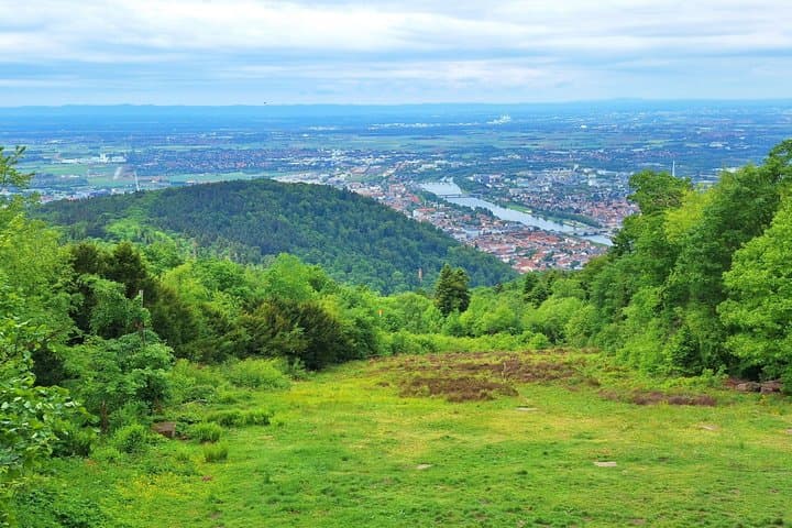 Tour guiado en Heidelberg con castillo, casco antiguo y Sendero de los Filósofos — foto 2