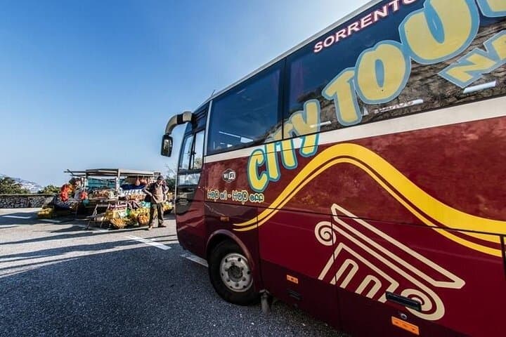 Excursión de un día a Pompeya y el Monte Vesubio desde Nápoles — foto 4