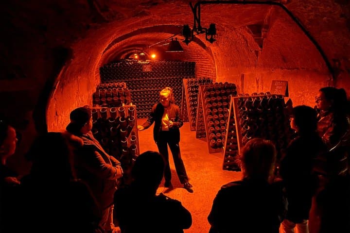 Excursión de un día a Champagne desde París con degustaciones y visita a la catedral — foto 4