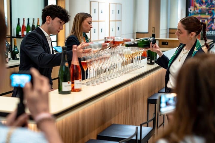 Excursión de un día a Champagne desde París con degustaciones y visita a la catedral — foto 3