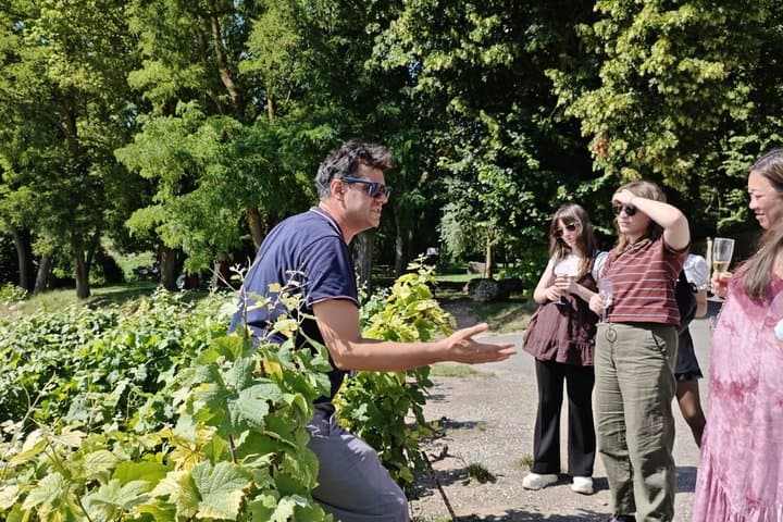 Excursión de un día a Champagne desde París con catas y visita a Reims — foto 2
