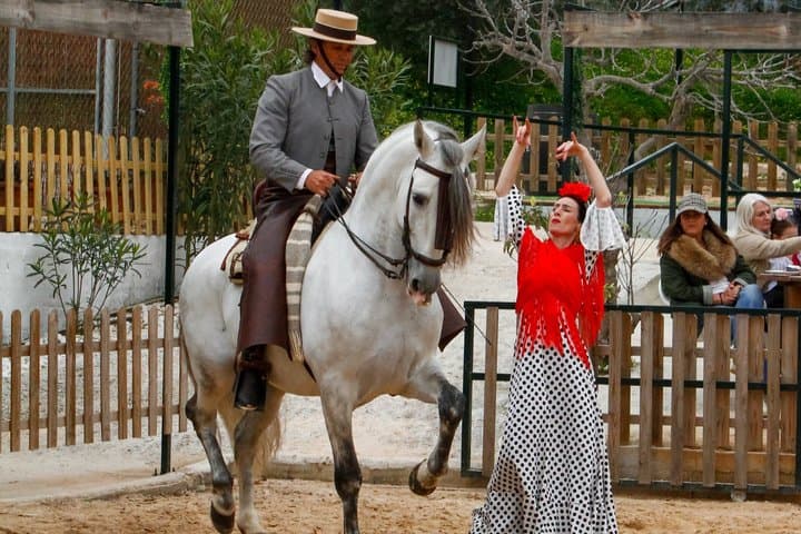 Experiencia Auténtica de Cena con Caballos Españoles y Fusión de Flamenco