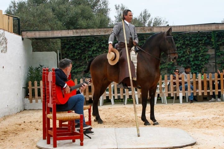 Dîner Authentique avec Fusion de Chevaux Espagnols et Flamenco — photo 4