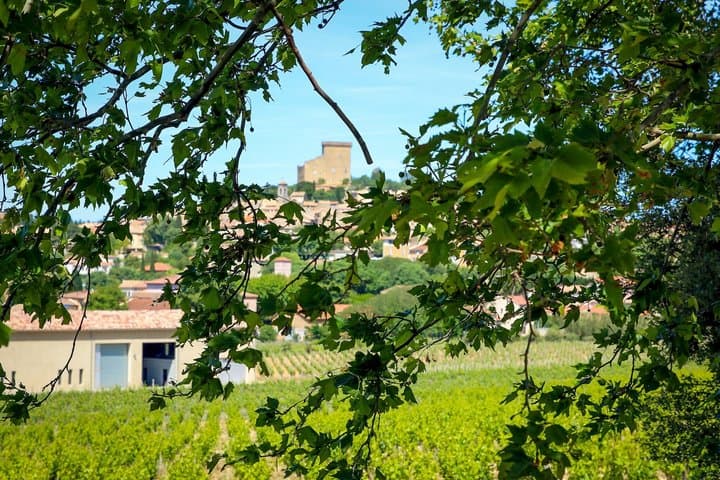 Private Châteauneuf-du-Pape Tour - 3 Weingüter + Private Verkostungen