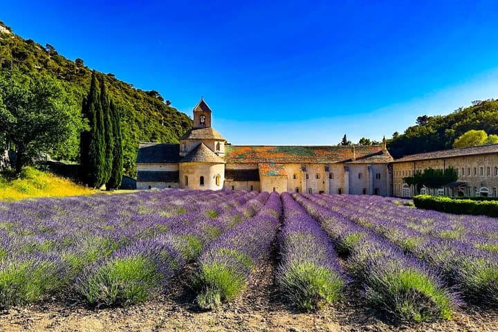 Tour Privado por el Luberon: Gordes, Abadía de Sénanque, Roussillon, Lourmarin