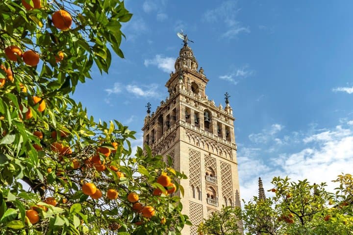 Visite guidée de l'Alcazar, de la Cathédrale, de la Giralda et de Santa Cruz à Séville