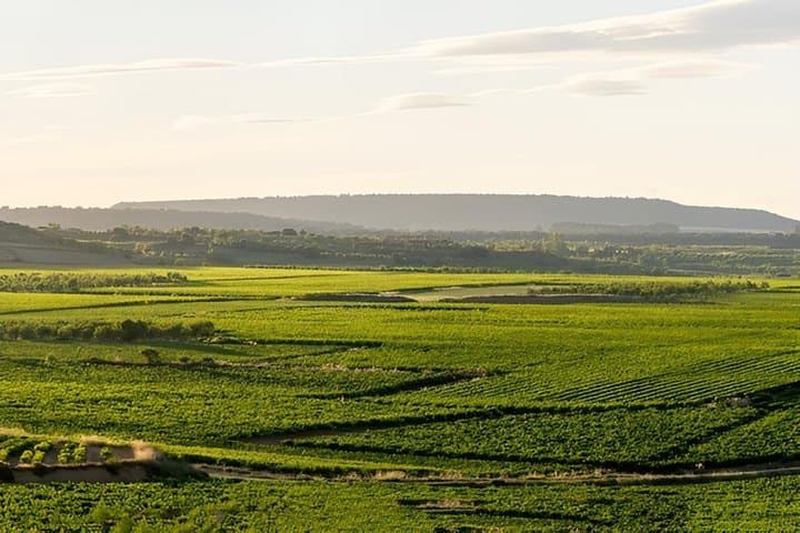 Tour Privato nella Regione Vinicola della Rioja da Bilbao — foto 2