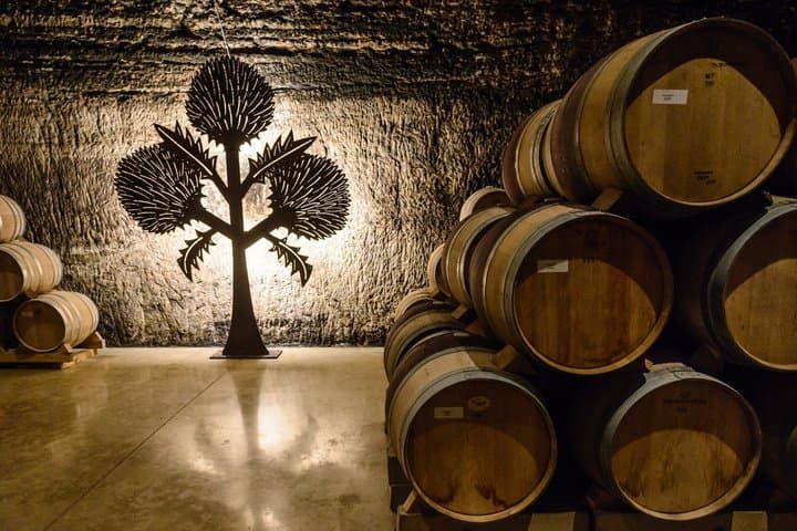 Tour Privato nella Regione Vinicola della Rioja da Bilbao — foto 3