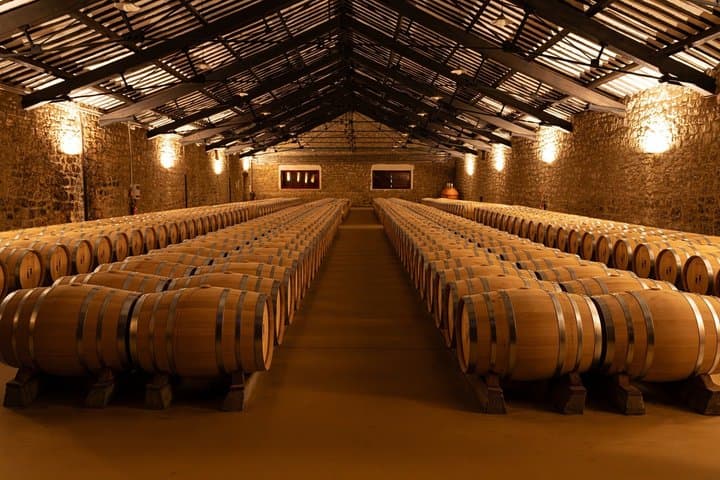 Tour Privato nella Regione Vinicola della Rioja da Bilbao