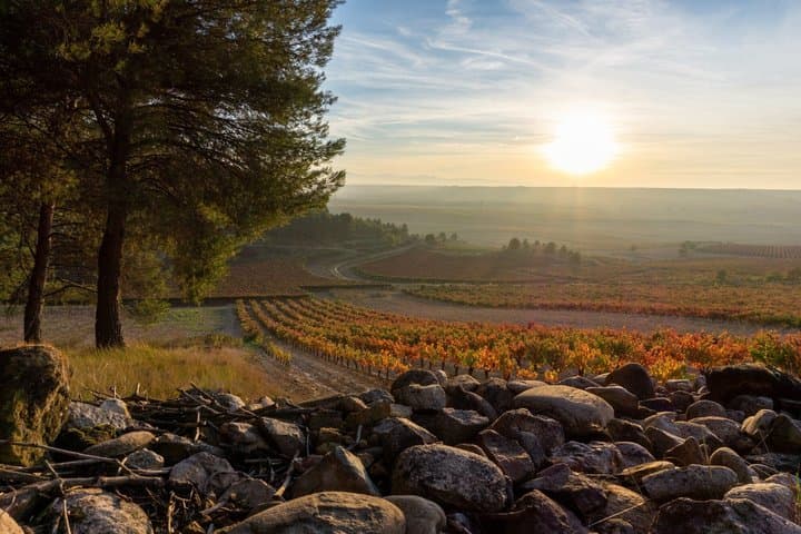 Tour Privato nella Regione Vinicola della Rioja da Bilbao — foto 4