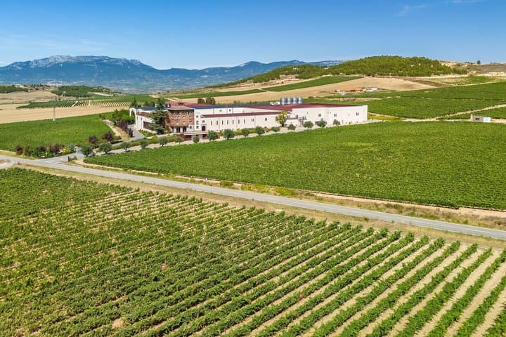 Tour Privato nella Regione Vinicola della Rioja da Bilbao — foto 5