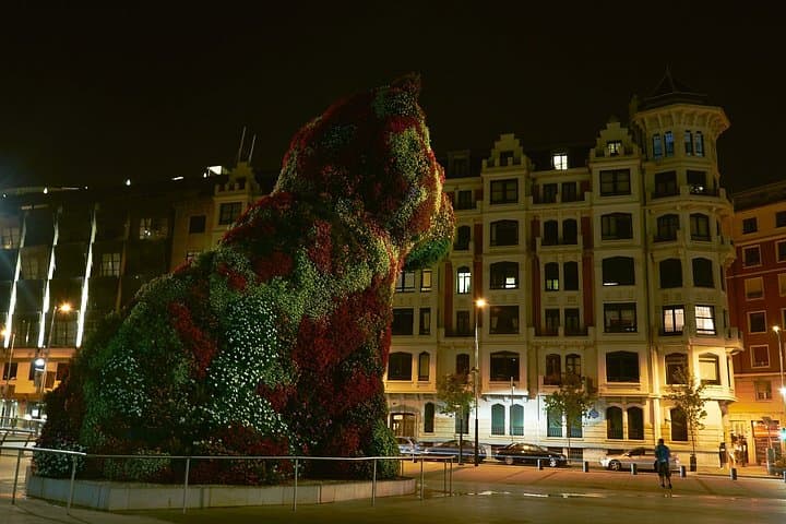 Visite privée de Bilbao de nuit — photo 4