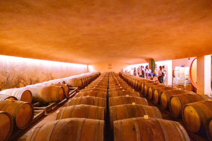 Tour in E-Bike nelle Colline del Chianti con Pranzo e Degustazioni di Vino — foto 5