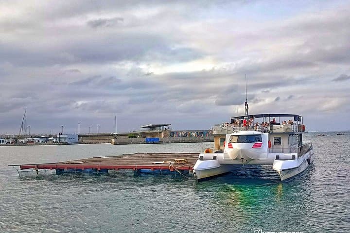 Katamaran-Tour zu Clóchina-Plantagen in Valencia