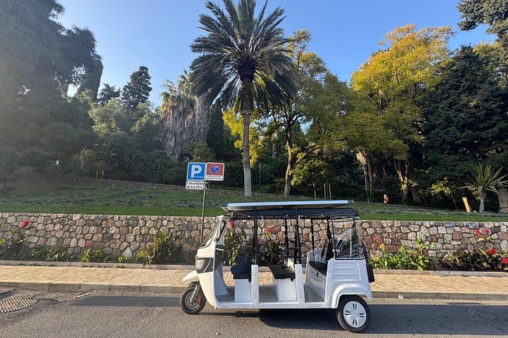 Private Tuk Tuk Tour von Malaga — Foto 5