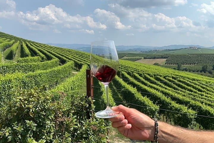 Kleingruppen-Weinprobe in Barolo in Alba und den Hügeln von Piemont — Foto 4