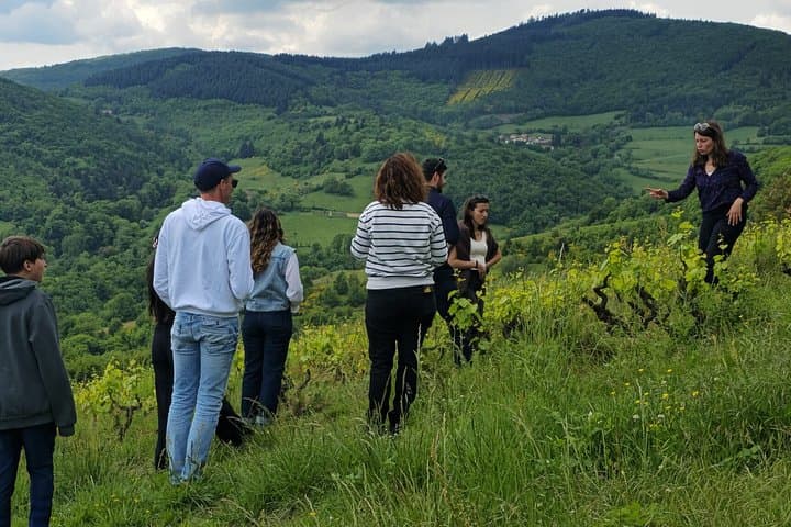 Tour de Cata de Vinos de Beaujolais desde Lyon — foto 2
