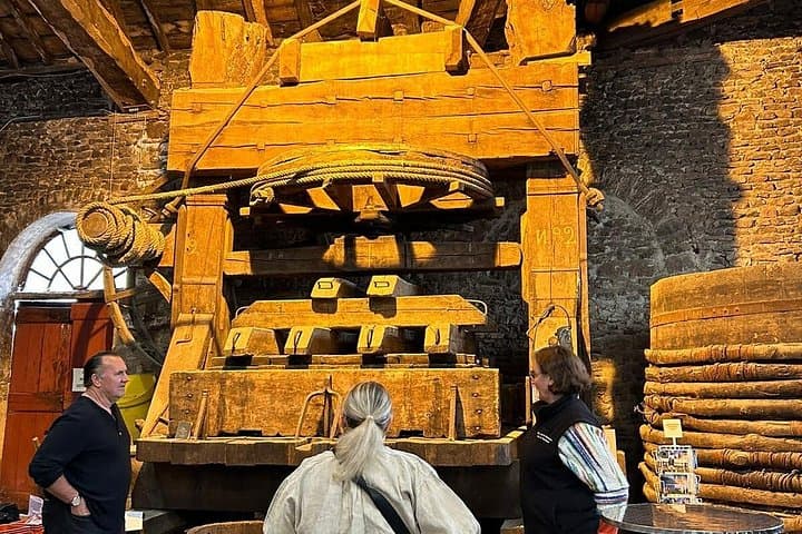 Tour de Cata de Vinos de Beaujolais desde Lyon — foto 5