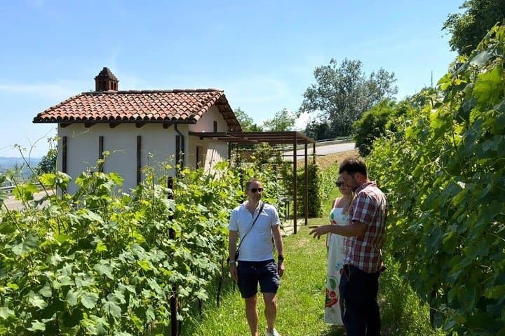 Visite privée des vins à Barolo depuis Milan