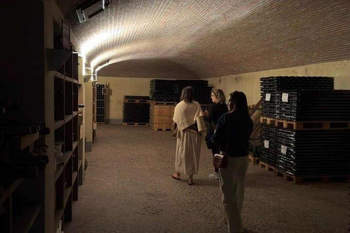Tour privato del vino Barolo nelle Langhe e Roero da Torino — foto 4