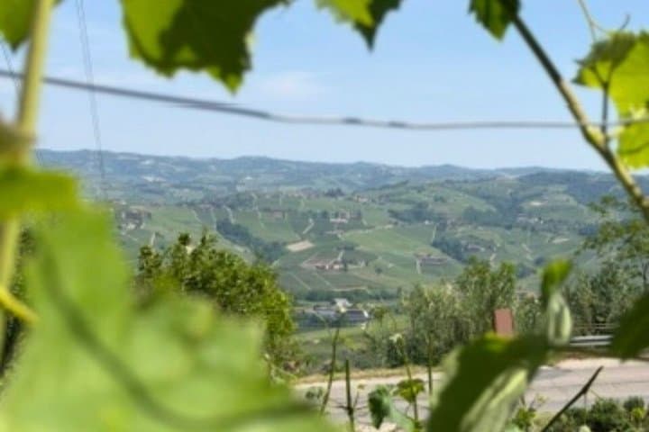 Visite privée des vins à Barolo depuis Milan — photo 5