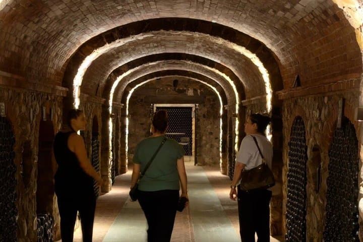 Private Barolo Wein Tour in Langhe und Roero von Turin