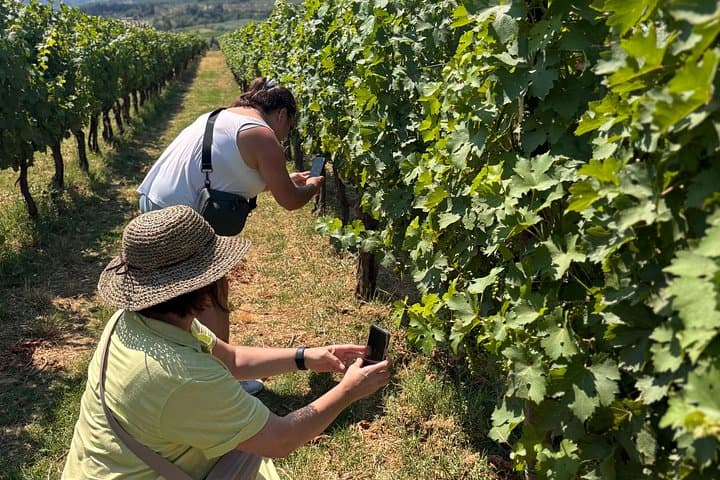 Experiencia de Cata de Vinos en Pequeño Grupo en el Campo Toscano — foto 4