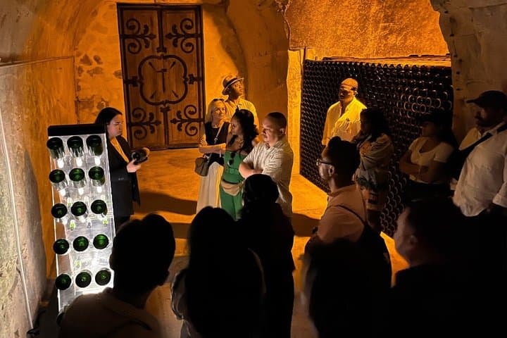 Tour de Champagne en Grupo Reducido desde París — foto 2