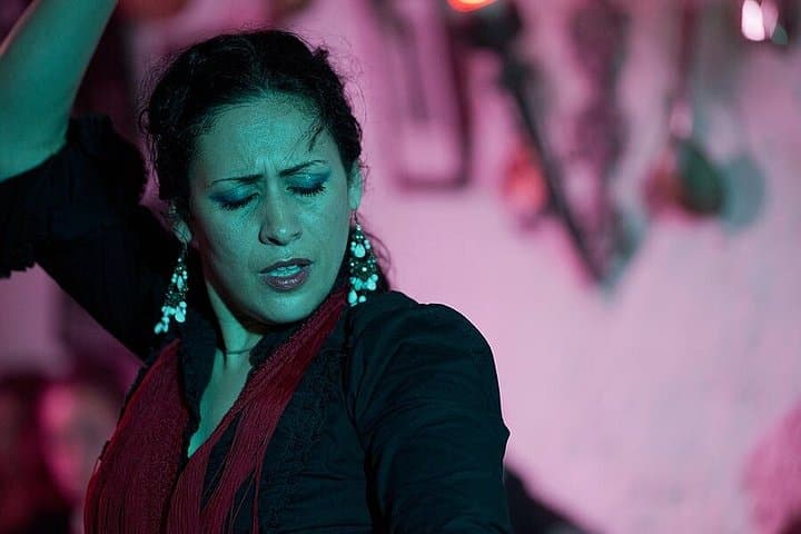 Spettacolo di Flamenco e Cena Andalusa nelle Grotte di Granada — foto 4