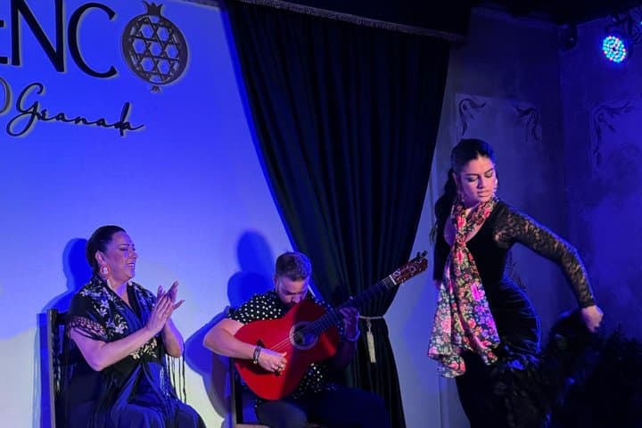 Spectacle de Flamenco au Palacio Granada — photo 3