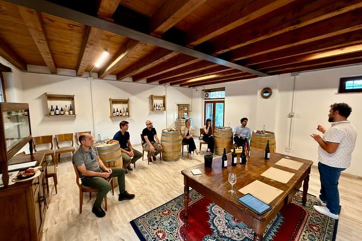 Tour del Vigneto e Degustazione di 5 Vini nelle Colline di Bardolino — foto 4