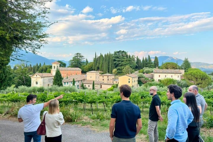 Weinberg Tour und 5 Weinverkostung in den Bardolino Hügeln