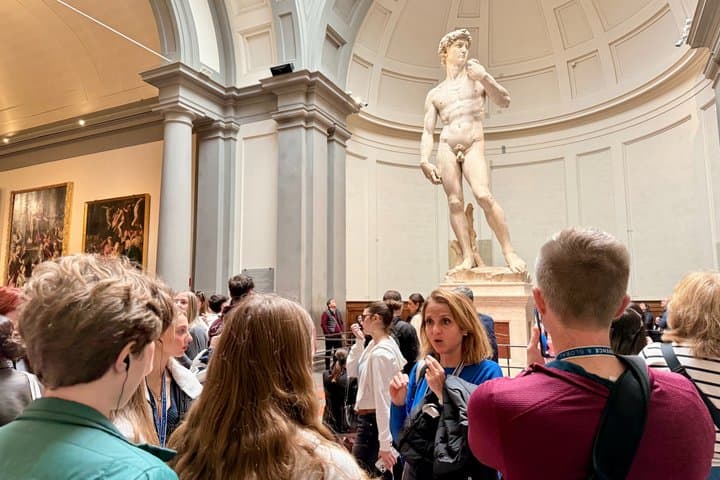 Biglietto d'ingresso alla Galleria dell'Accademia e tour del David a Firenze