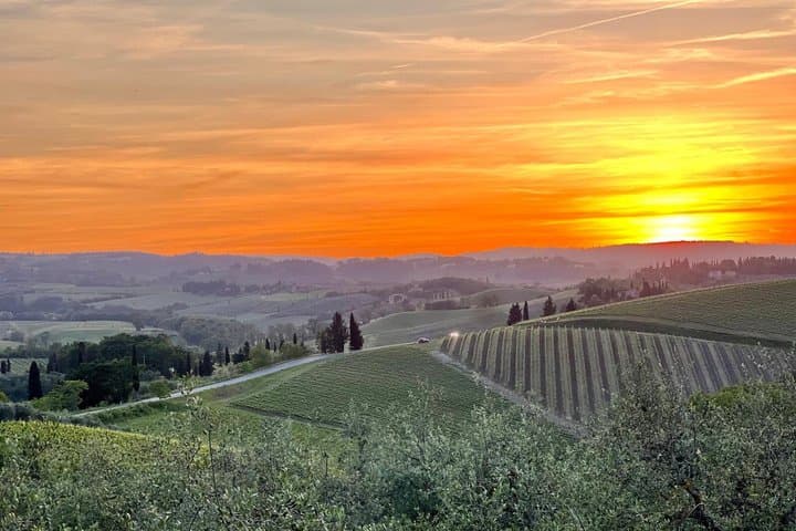 Tour al Tramonto nel Chianti con Degustazione di Vini e Cena in Toscana — foto 3