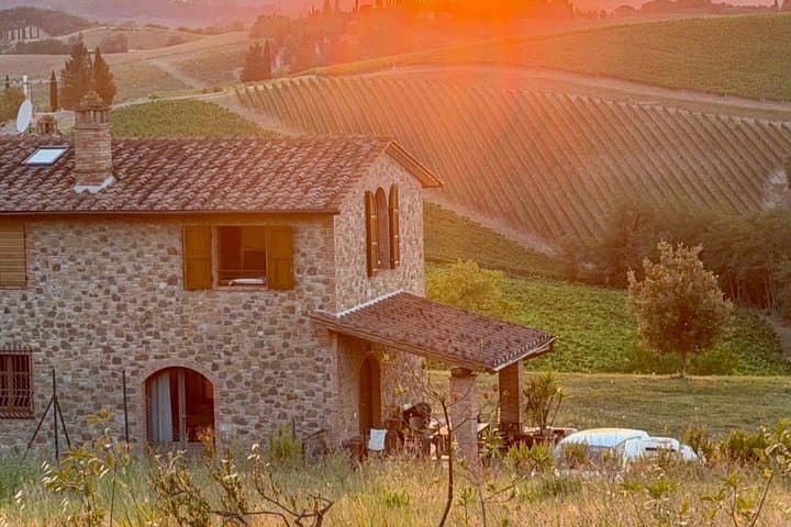 Tour al Tramonto nel Chianti con Degustazione di Vini e Cena in Toscana — foto 5