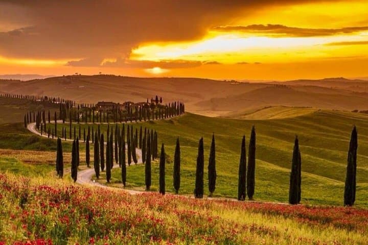 Tour al Tramonto nel Chianti con Degustazione di Vini e Cena in Toscana